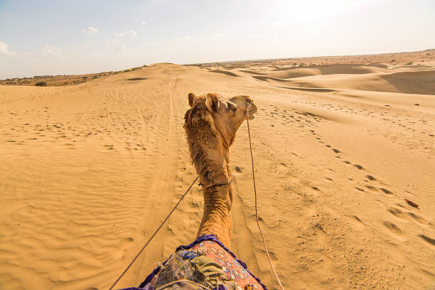 Rajasthan